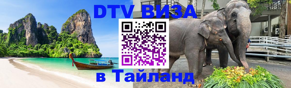 Оформление DTV визы под ключ: стоимость и тарифы, только загранпаспорт - 19.11.2025 